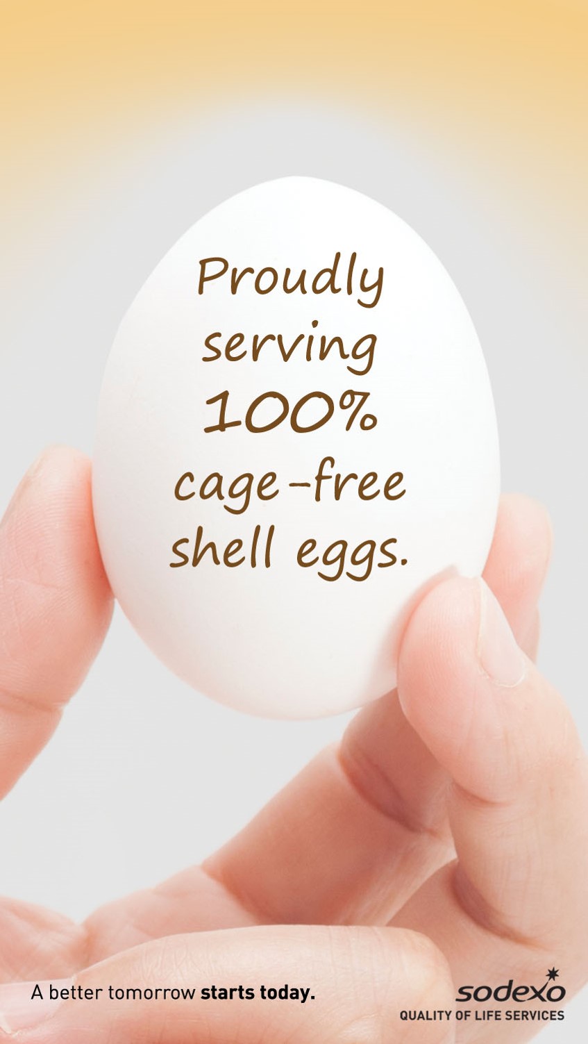 cage free egg